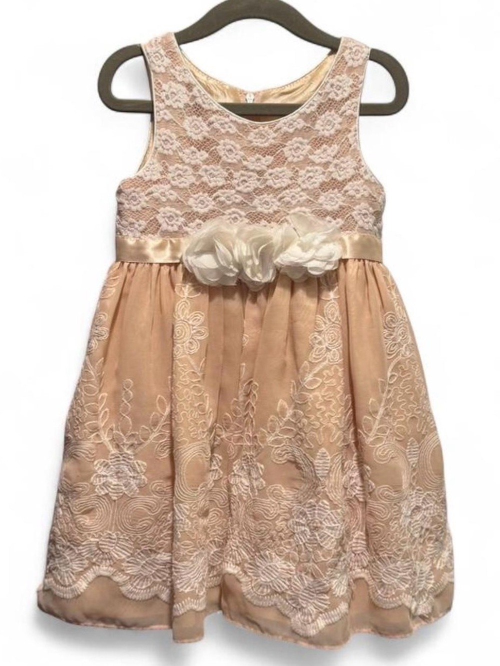 Sweet Heart Rose Blush Cream Lace Floral Party Dress